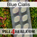 Blue Cialis 08